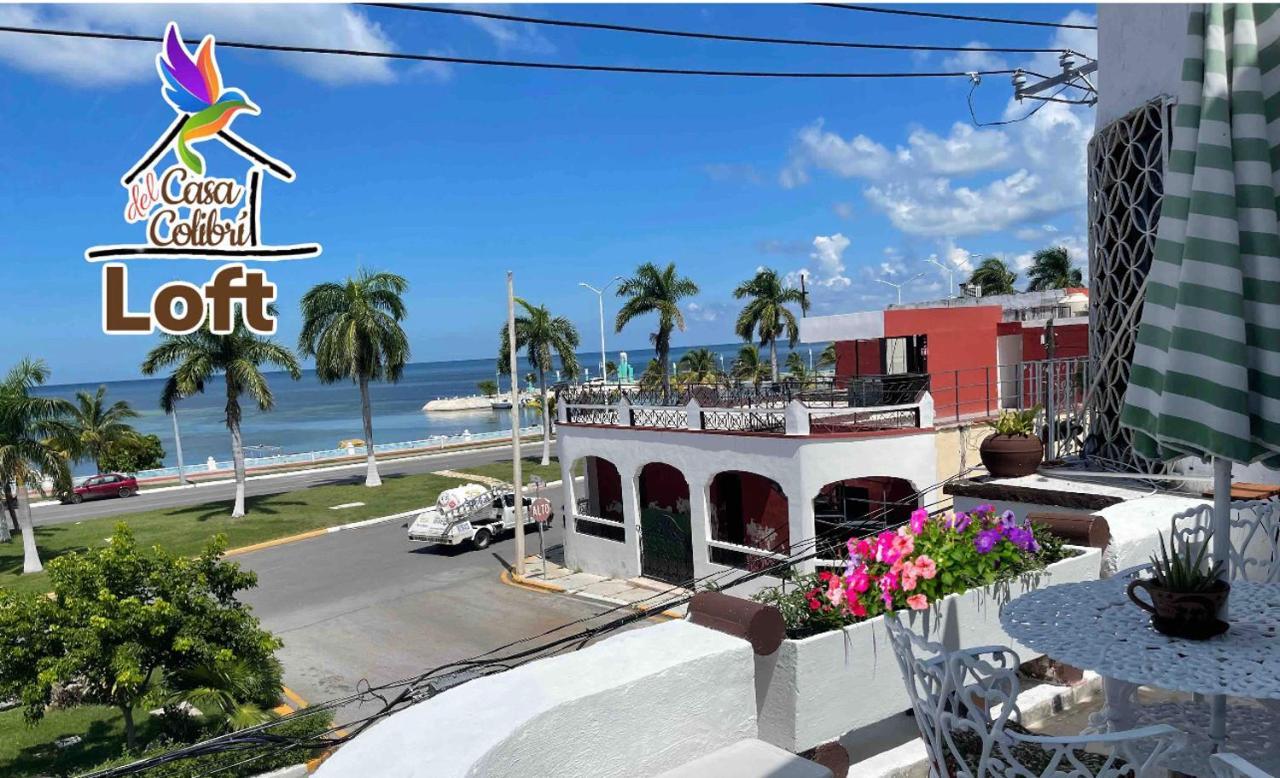 Appartement La Casa Del Colibri à Campeche Extérieur photo