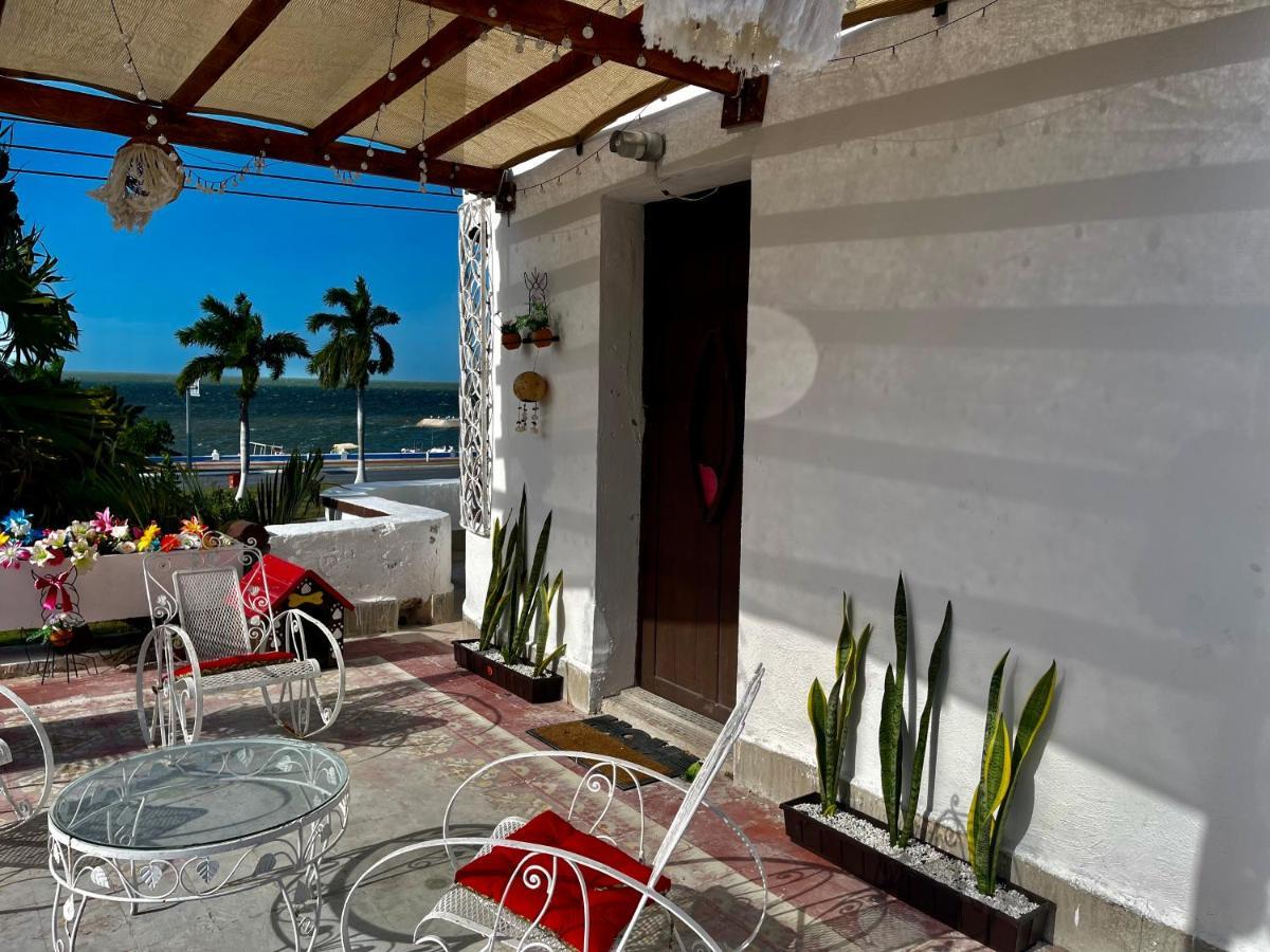 Appartement La Casa Del Colibri à Campeche Extérieur photo